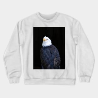 Bald eagle portrait Crewneck Sweatshirt